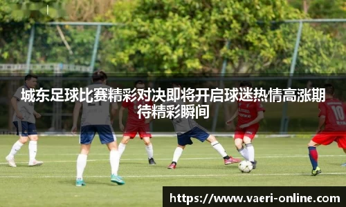 B体育bsports