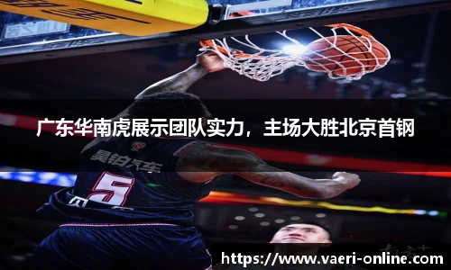 B体育bsports