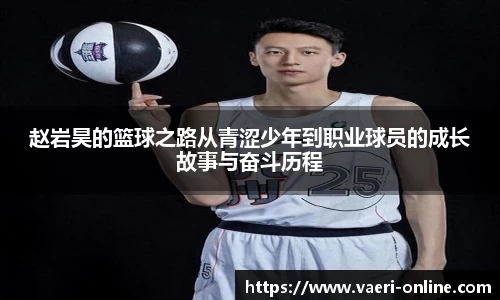 B体育bsports