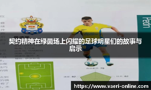 bsports官网入口